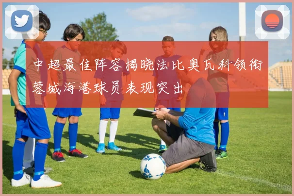 中超最佳阵容揭晓法比奥瓦科领衔蓉城海港球员表现突出