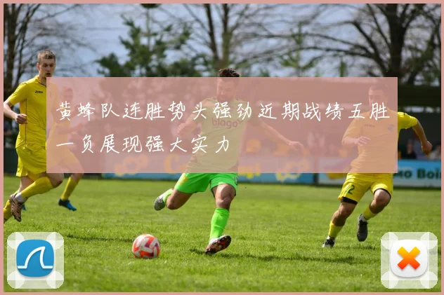 黄蜂队连胜势头强劲近期战绩五胜一负展现强大实力