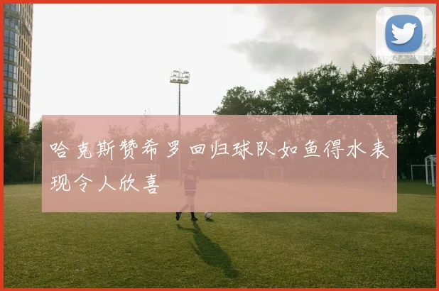 哈克斯赞希罗回归球队如鱼得水表现令人欣喜