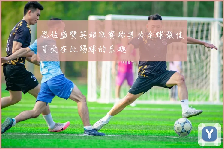 恩佐盛赞英超联赛称其为全球最佳享受在此踢球的乐趣