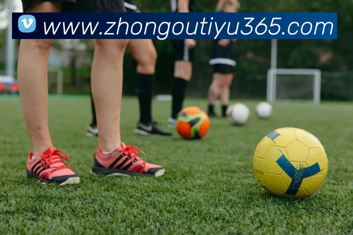 中欧体育APP 封面图